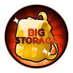 BIG Storage
